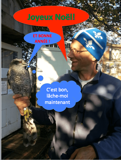 Capture d’écran 2013-12-25 à 10.40.10