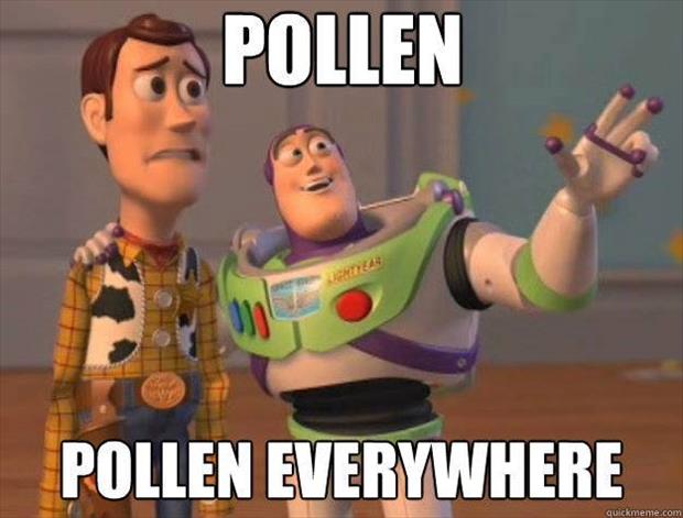 pollen-everywhere