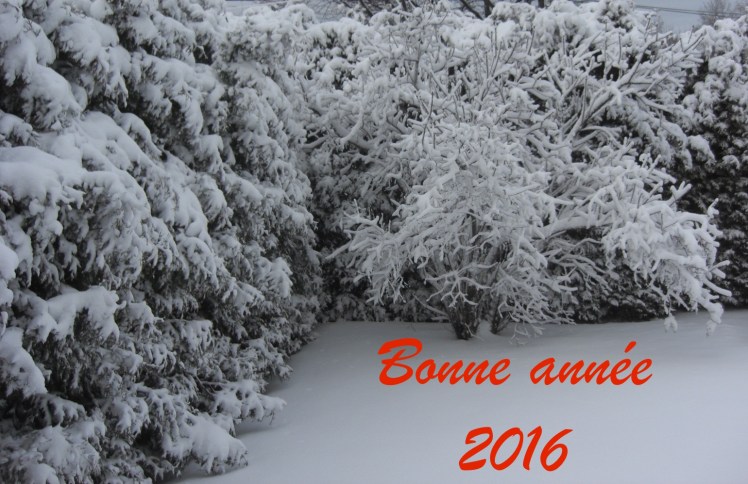 Bonne année 2016