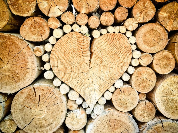 Coeur en bois