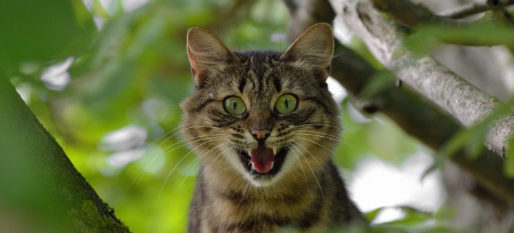 Peur toute la journée