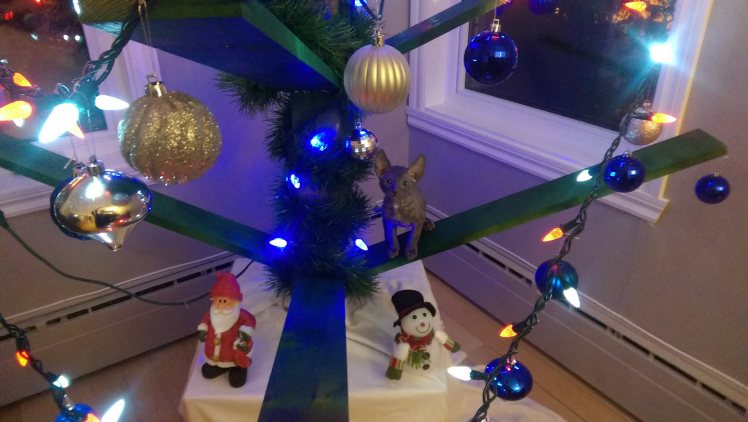 Théodore, le chat-pin