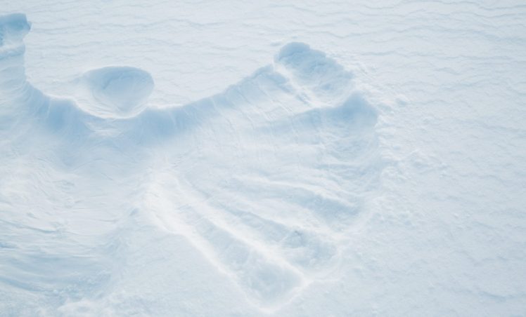 On se roule dans la neige