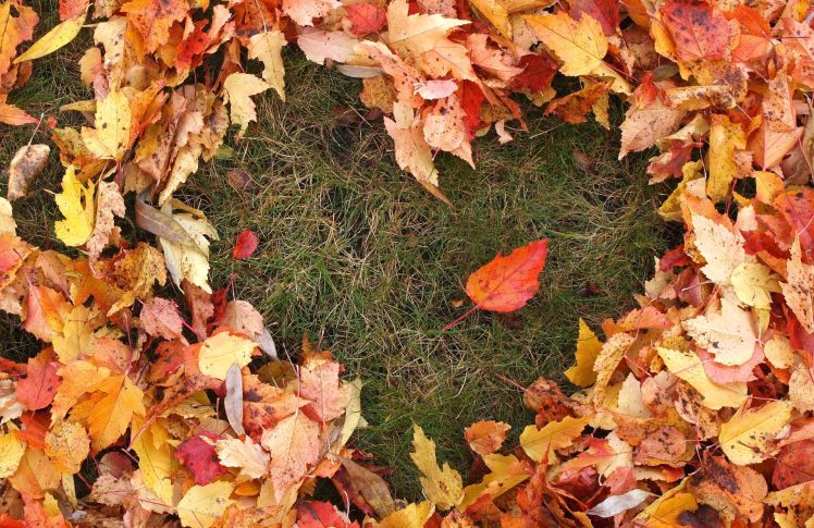 La famille de feuilles