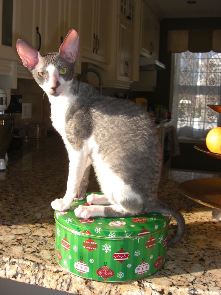 Gustave monte la garde