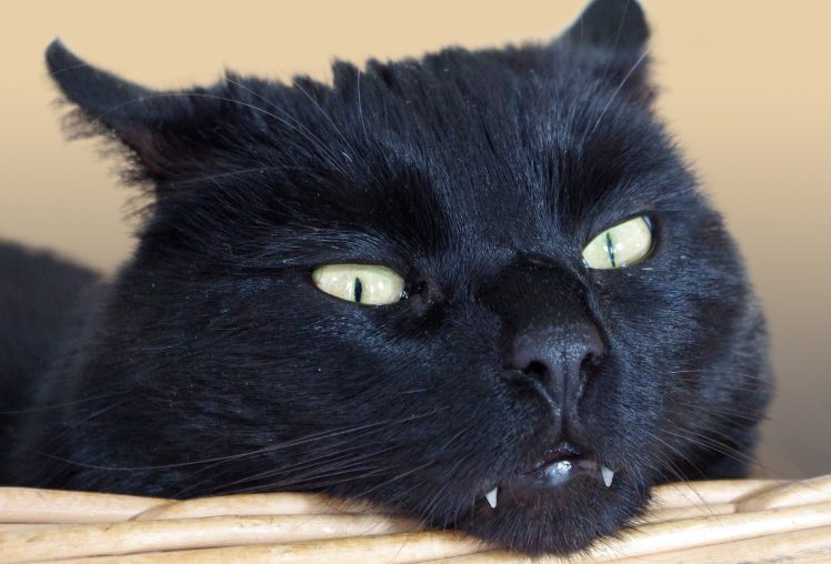 James ne décolère pas