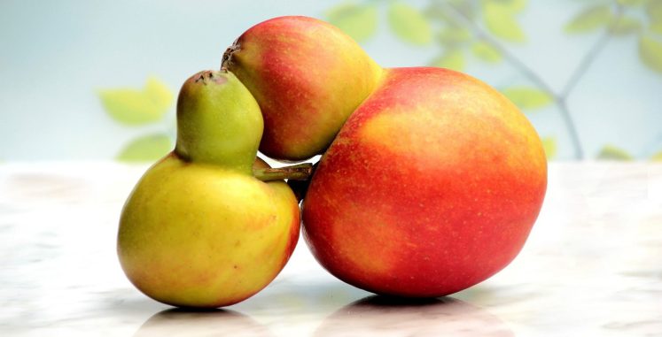 Imparfaits mais mignons