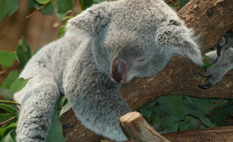 Une journée de repos
