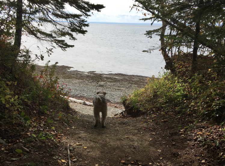 Winston va à la mer